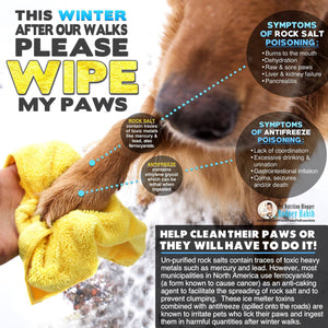 Protect Your Dog's Paws & The Environment