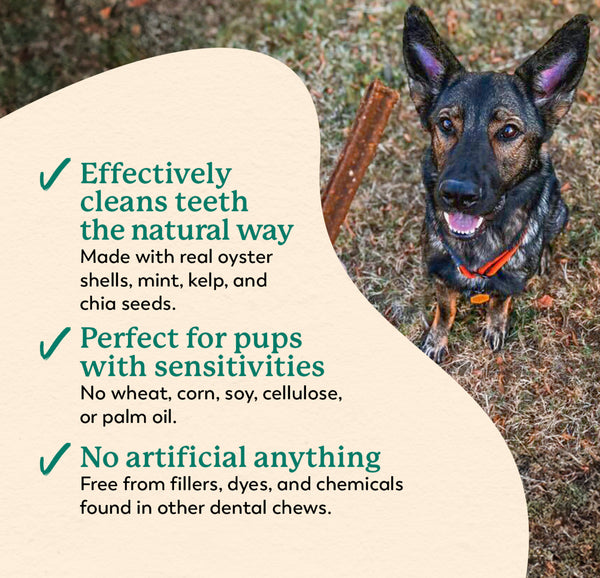 Holistix Dr Harvey’s